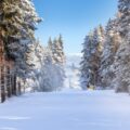 Bansko 1 768x512 1