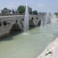 images 9
