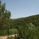 akdagmadeni kadipinari yaylasi 55355