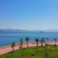derince sahili 39278