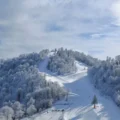 kartepe 37718