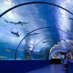 antalya aquarium