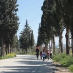 hatay erzin