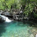 sutuven selalesi
