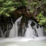 tarsus selalesi