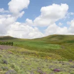 bingol daglari