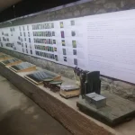 bogatepe koyu peynir muzesi