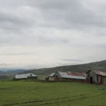 hazarsah koyu