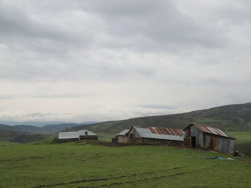 hazarsah koyu