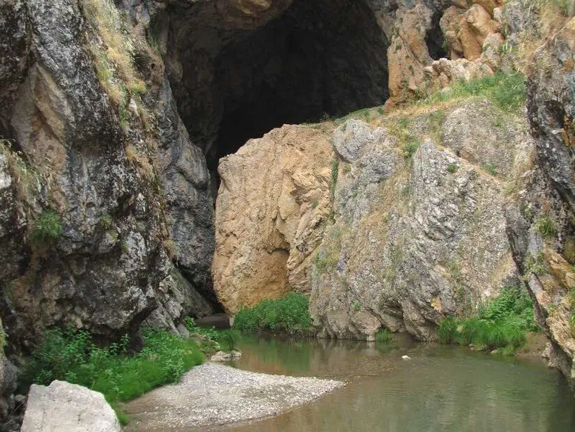kunav magarasi