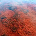 otlukbeli golu